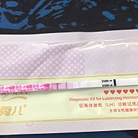前两个月第五天都测出强阳了，这个月都第八天了还是没强阳，今天测的排卵试纸怎么会是这个样子？求解