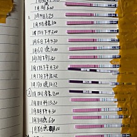 听说 排卵过后几天 排卵试纸逐渐加深 好孕的可能性比较大。 一直在坚持中。 卵泡监测18.16。19号凌晨3点...