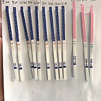 12日来的月经、19日月经干净，从20日一直测排卵，排卵试纸一直测不到强阳、会不会输卵管堵了啊