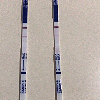 求解，是怀了吗？