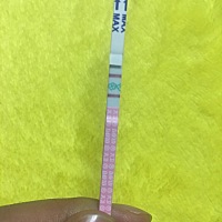 还是在强阳吗？    昨晚已经用过房了，今天还要同房吗