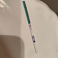 末次12月24日.例假一直不准，比11月推迟十天，刚刚测的，这是意念灰吗？