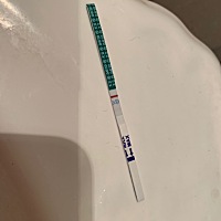 大家帮我看看这是意念灰吗？末次12月24号，例假不准比11月推迟十天