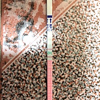 3号来的姨妈 1月23号测的排软试纸 我想问是不是排卵？