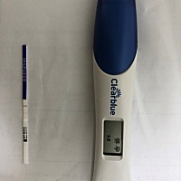 自从第一次验出有两条杠 每天早上睡不着 疯狂的验 疯狂买验孕棒  可能是备孕七个月的悲哀吧  这个小猪仔...