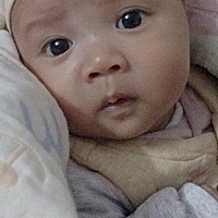 生崽容易带崽难啊。快崩溃