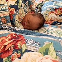 腊月初十11:08分顺产小公举一枚 肚子一点都不痛 屁股上面部分痛 持续到生 （痛到怀疑人生 一直用手按摩 ...