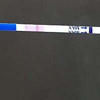 这个算怀孕了🤰吗？