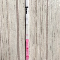 25号的末次月经，13号测的排卵，今天早上测的，不知道是不是怀上了