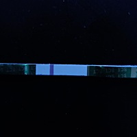 能不能帮我看看是不是怀孕了，有没有会反色的帮我反色一下