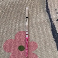 这个是今天的金秀儿排卵试纸，安排来得及吗?