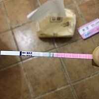 28号末次，5号干净，今天测排卵试纸是这样