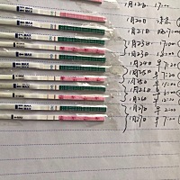 1月11号排卵，老公精子质量不好在治疗中，所以我没有抱期望，23号心血来潮测了一根大卫，过了会居然看见...