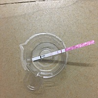 金秀儿显示强阳，外阴瘙痒，是不是炎症嗯？能安排吗这样的情况？