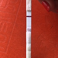 帮我看看 这一次是不是又眼花了。