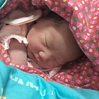 亲们看看 大宝和小宝像么 大宝出生时 大宝四维相片 二宝四维相片