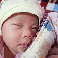 还有半个月好无聊的，想吃烧烤了……天天吃汤汤水水都吃吐了