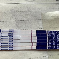 16号排卵日，这几天测的zzy杂牌试纸，晨尿有一条细细的线，下午测就没有，第一张就是这几天的变化，第二...