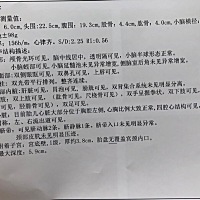 12.27日 四维一切正常1斤4两  也不绕颈