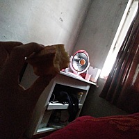 抛宫产第十天了，能吃蛋糕面包吗？