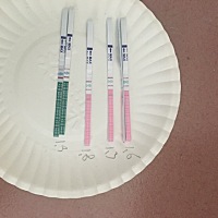 有没有末次月经12.11的，刚开始4周左右出现胸涨疼涨疼，小腹疼痛，带点恶心的，到现在这些反应逐渐减少...