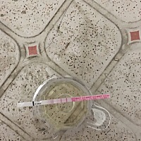 我在备孕，姨妈期间一直痛经，经期很长，直到金秀儿排卵强阳了我还在来姨妈，这样怎么生娃