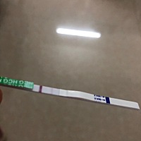 这个月5号来的姨妈，10号完，后面23-24-25尿频尿急得难受，验了没怀孕，就26-27吃消炎药，也放弃怀孕可...