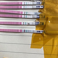 今天排卵第十一天。排卵试纸转弱了 腿酸 小腹满满的姨妈感。还有两天月经。早早孕也是白板。胸涨痛 跟往...