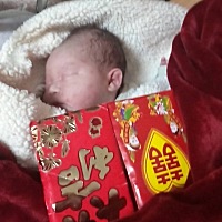 熊孩子诞生 6.8斤 男宝宝 呼呼 昨晚三点 宫口开了3个指头。直到今天中午3点多还开3个指头。由于宝宝胎心...