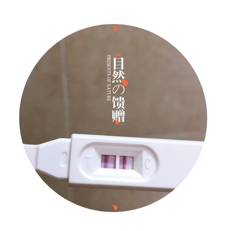 好孕，🐷宝宝。心情有点复杂，既开心又忐忑～