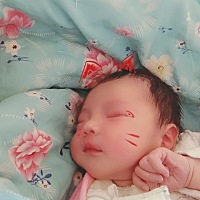 小宝终于出来了