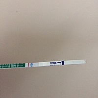 姨妈一直都不太规律，但是最多也就推迟5-6天，最后一次是12.8号来的，量特别少，1月到现在都还没来，昨...