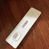 这是怀孕了吗？