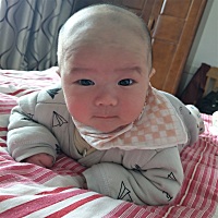 本来叫叫小豆子，现在头发一剃成光头强了，你奶奶真是外号大妈。