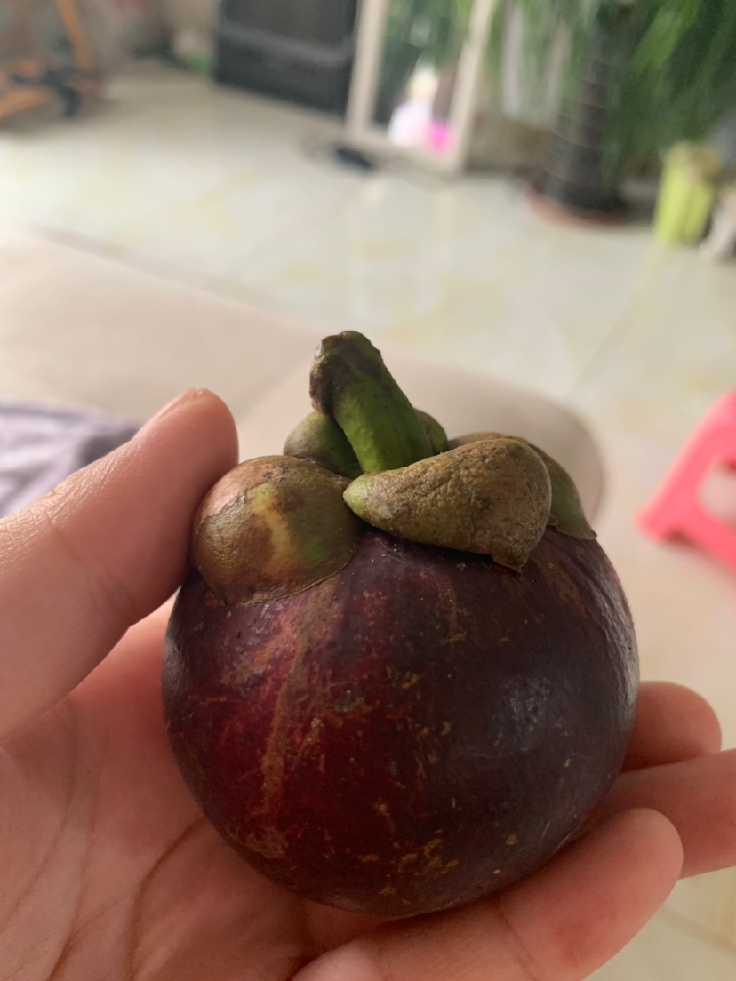 今天吃的可爱的小山竹