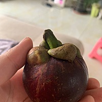 昨天在社区医院听到了宝宝的胎心，160/次，那感觉很神奇，再次感觉到了做妈妈真的好神奇(´▽｀)ノ♪   ...