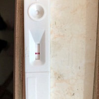 1月3日月经第一天，今天测了，是怀了吗？排卵试纸是19号排卵，看起来是意念粉