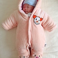 猪年的末尾收获猪宝宝一枚！