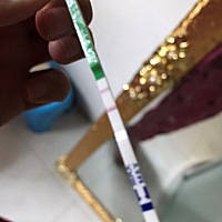 1月20号同房 排卵！一直持续到1月29号 胸微胀！1月30号测试纸 早上测试纸强阳咋回事！