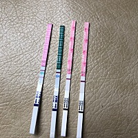 本月战绩 跟大家分享一下。哈哈。 今天姨妈日。不过还没有来。 应该快来了。 三张大白板哈哈。 下个月继...