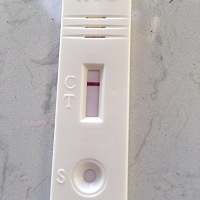 记录下，2号末次月经，17号排卵，月经推迟第二天，胸胀，有白带颜色黄，晨起同房一次，睡觉心悸，轻微头...