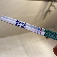 今天早上晨尿跟中午测了显示这样，比较浅，我朋友说是怀孕了，这样是怀孕了吗？