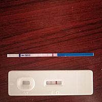 1.17号排卵，应该是31号来例假，今天刚测的，是怀孕了吗