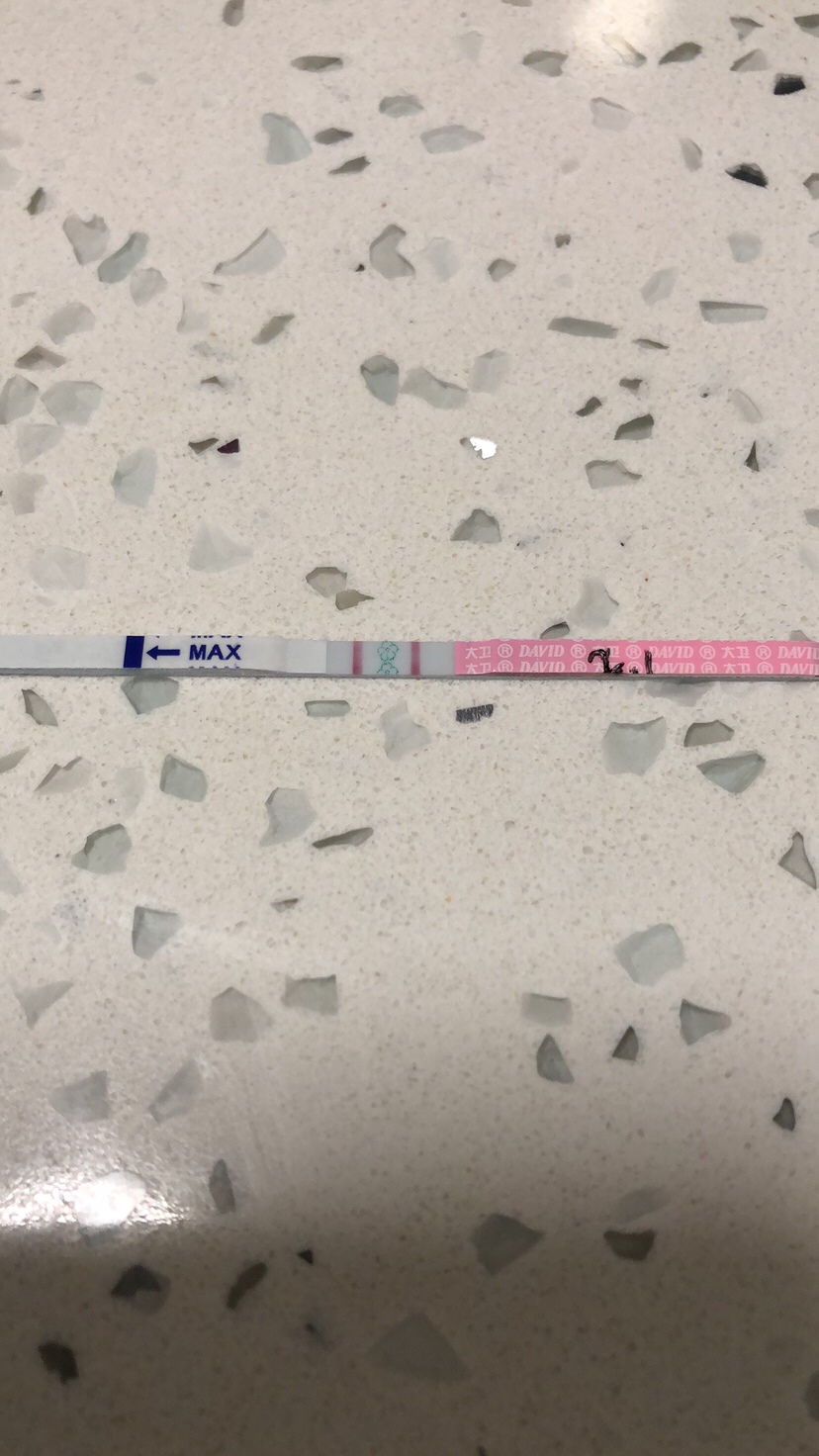昨儿晚测的排卵，阳