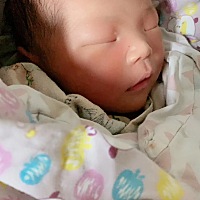2019.01.29，19:09，40+6天顺产男宝。7斤6两，有撕裂和侧切。28号产检羊水少住院，29号上午十点左右...