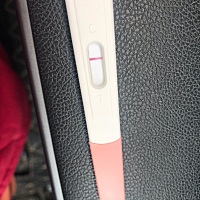 看来又没有希望了😭