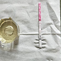 经期第十三天，今天吃了一片感冒药，金秀儿的排卵试纸这样，是药的影响吗？