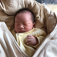 研究半年有余，关于男宝症状，本人宝宝！仅供参考！8周左右胎囊椭圆形，朋友茄子形，胎心应该结结合孕期...