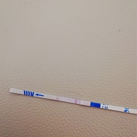 用的海利医生排卵试纸，该怎么看杠杠？