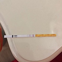 上月5 号来的大姨妈，这是怀孕了吗